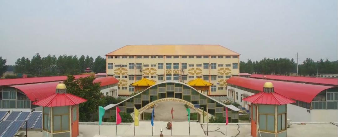 健身房男女比例是多少_健身房男女练_健身男托女