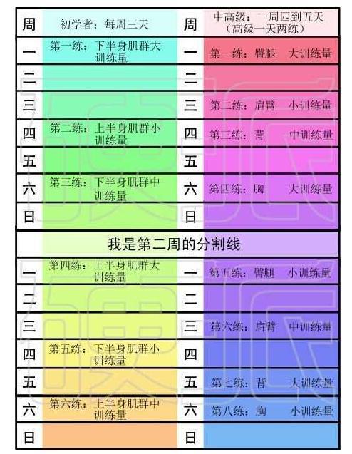 健身3周_健身周期_健身周期训练计划