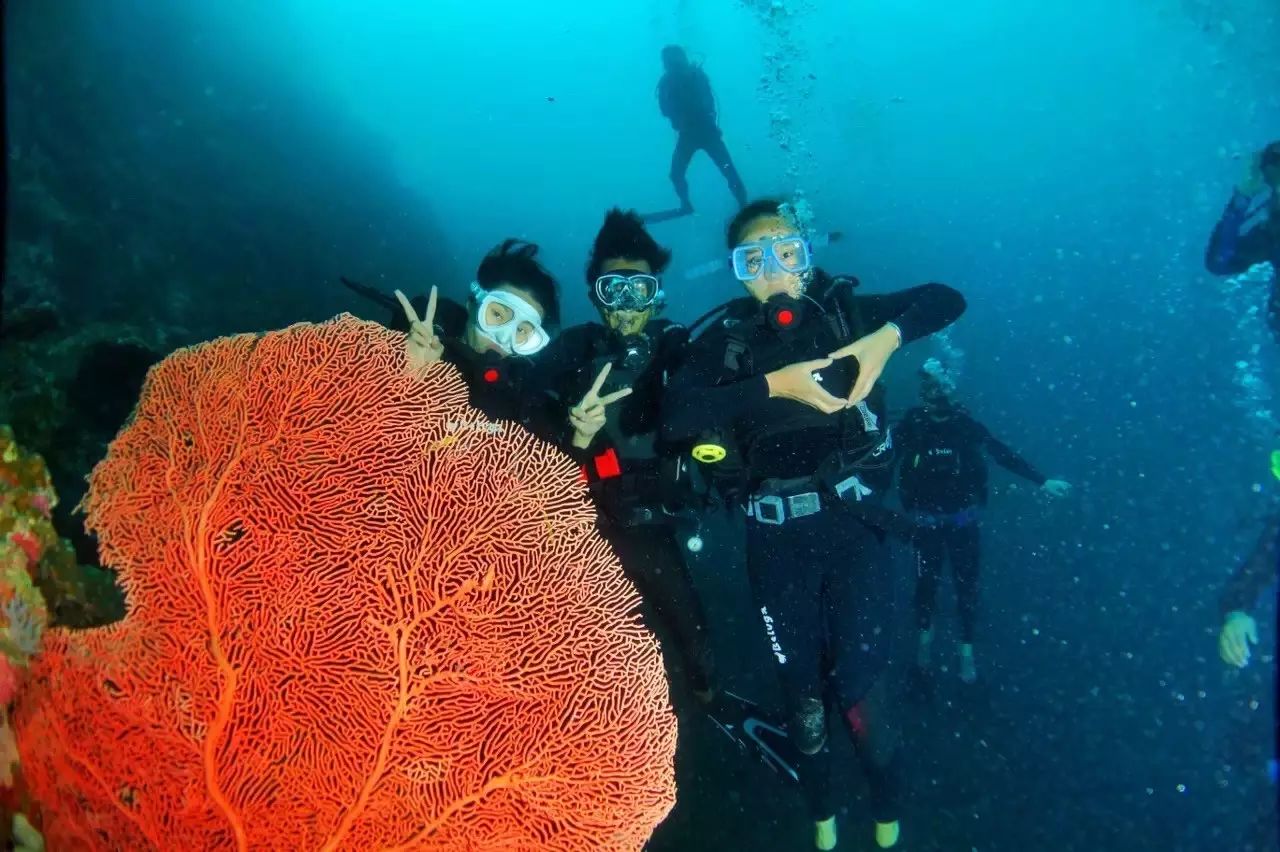 潜水教学潜水游泳教学_双人潜水游泳技巧_潜水游泳教学视频新手