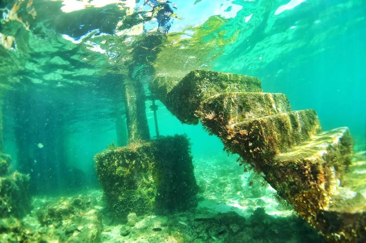 潜水游泳教学视频新手_双人潜水游泳技巧_潜水教学潜水游泳教学