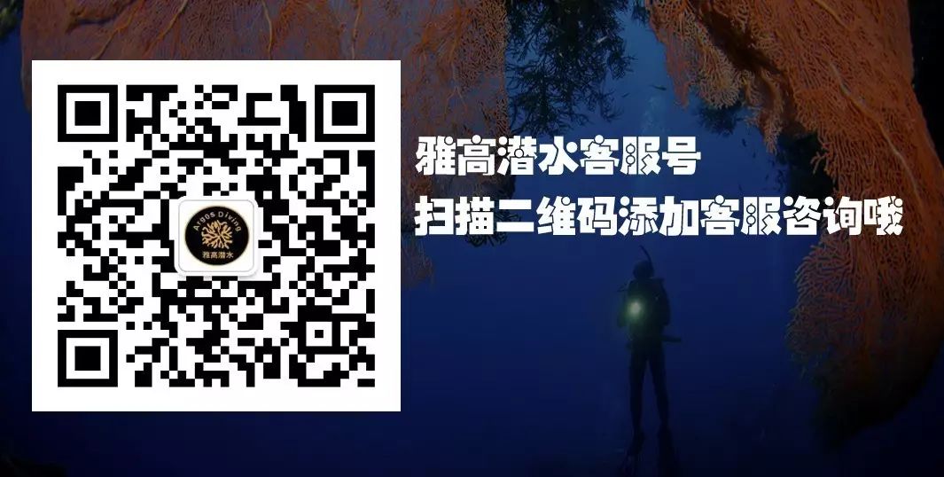 潜水游泳教学视频新手_潜水教学潜水游泳教学_双人潜水游泳技巧