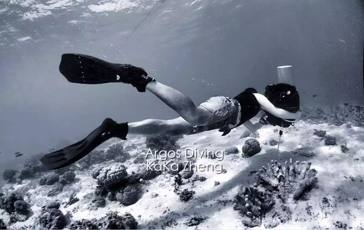 双人潜水游泳技巧_潜水游泳教学视频新手_潜水教学潜水游泳教学