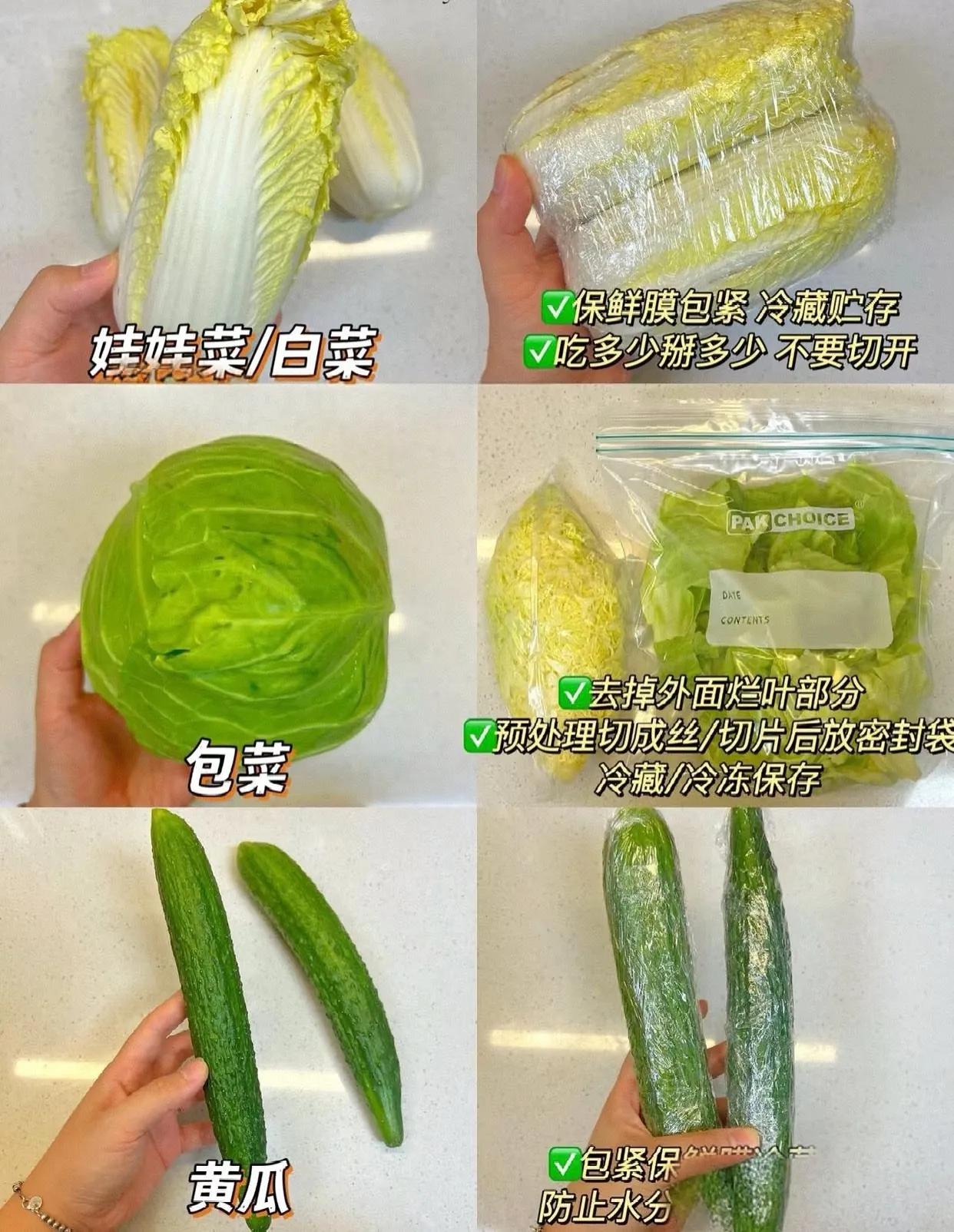 绿色环保生活小窍门_技巧环保绿色生活手抄报_绿色环保 生活技巧