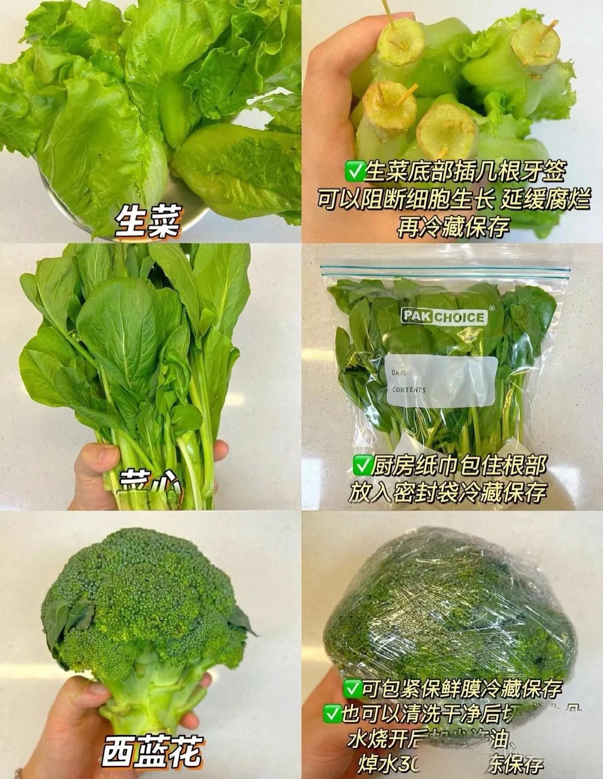 技巧环保绿色生活手抄报_绿色环保生活小窍门_绿色环保 生活技巧