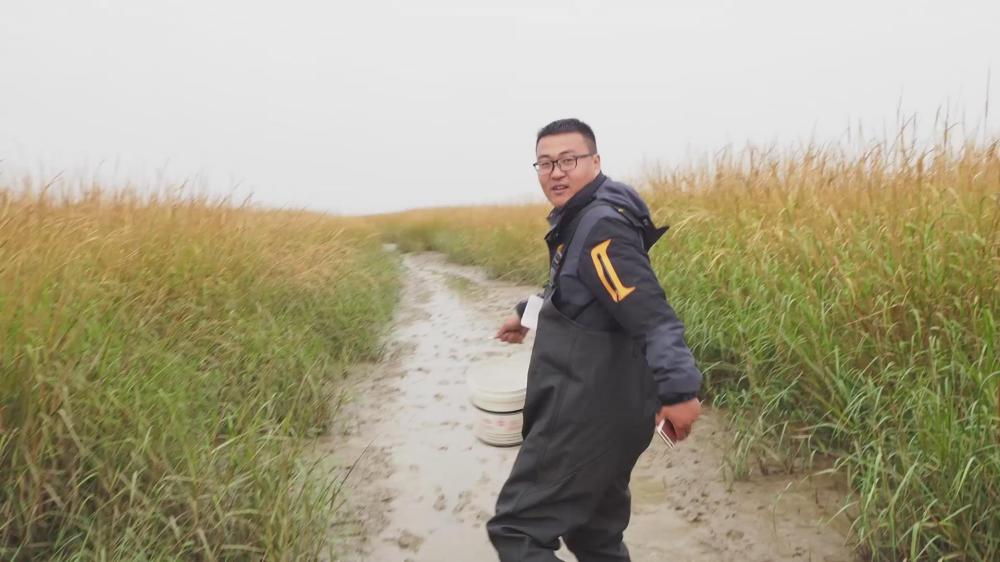赶海主播家庭日常_赶海主播一天能挣多少钱_主播日常家庭赶海怎么做