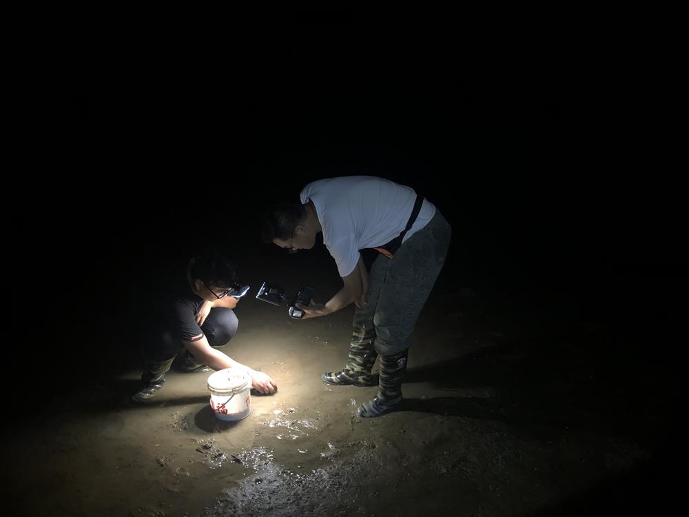 主播日常家庭赶海怎么做_赶海主播一天能挣多少钱_赶海主播家庭日常