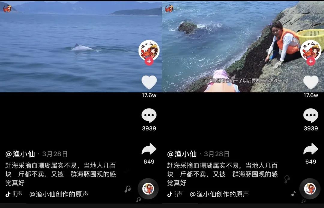 赶海主播家庭日常_赶海主播靠什么挣钱_主播日常家庭赶海怎么做