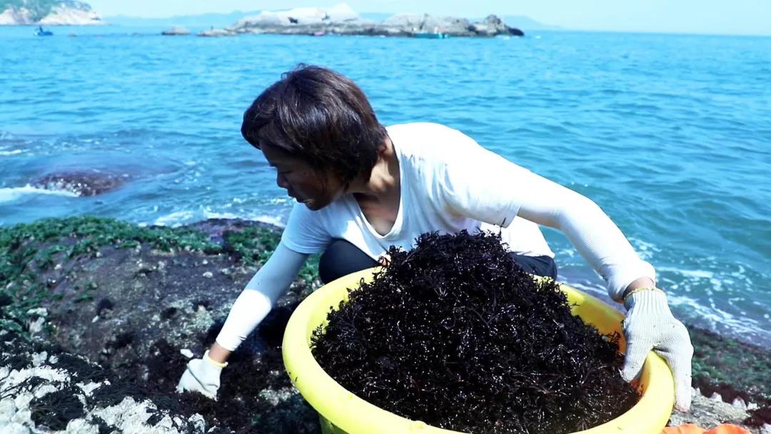 主播日常家庭赶海怎么做_赶海主播靠什么挣钱_赶海主播家庭日常